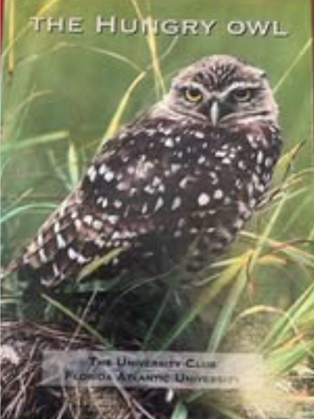 Vintage "The Hungry Owl" Florida Atlantic University Community Cookbook (FAU 3-R